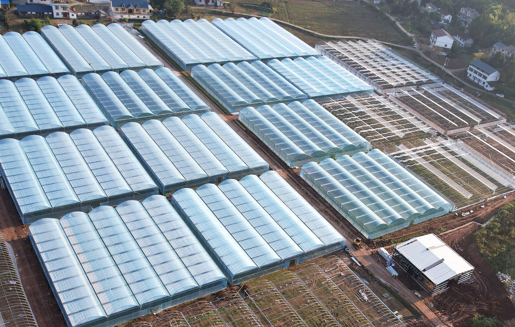 安岳蔬菜示范基地項(xiàng)目運(yùn)營(yíng)合作方招商公告